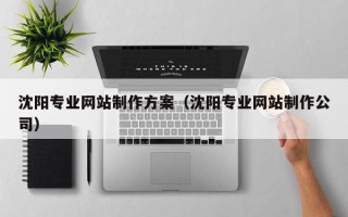 常州沈阳专业网站制作方案（沈阳专业网站制作公司）